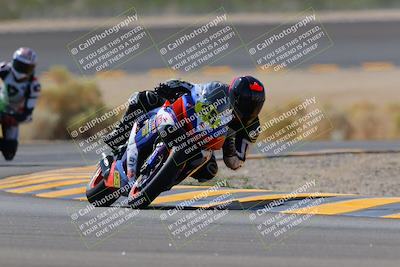 media/Oct-08-2022-SoCal Trackdays (Sat) [[1fc3beec89]]/Turn 14 (1050am)/